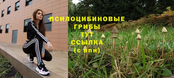 мяу мяу мука Алексеевка