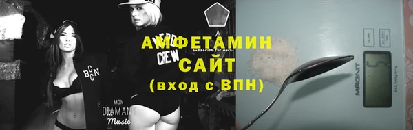мет Алексин