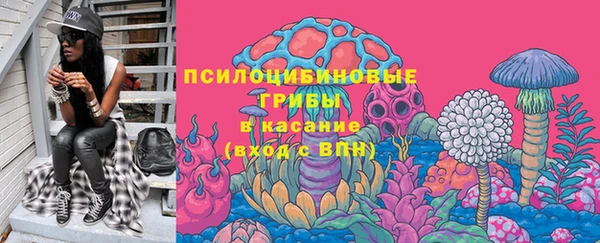 эйфоретик Алзамай