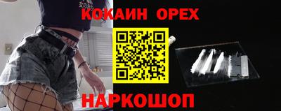 шишки Новозыбков