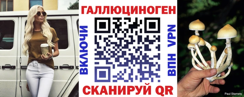Псилоцибиновые грибы Cubensis  Переславль-Залесский 