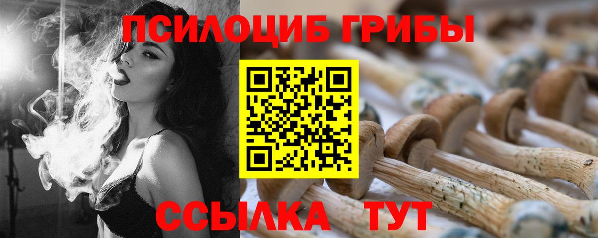 Псилоцибиновые грибы Psilocybine cubensis Переславль-Залесский